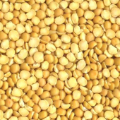 Yellow Split Peas, 12/2 Lb