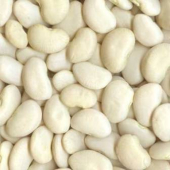 Large Lima Beans