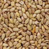 Sunflower Seeds, Raw Shelled, 25 Lb