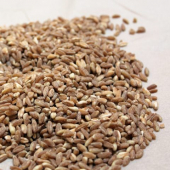 Farro, Organic Import