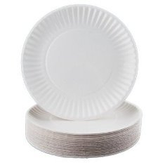 Paper Plate, 9&quot; Uncoated White