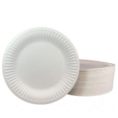 Paper Plate, 9" Coated Heavy Weight White, 4/125 count
