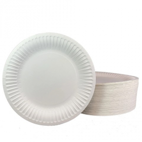 Paper Plate, 9" Coated Heavy Weight White, 4/125 count