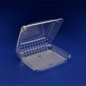 Sol-Pak - Container, 8x7x2.25 Clear Plastic Hinged Container, 250 count