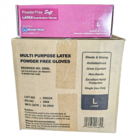 Latex Gloves, Powder Free, Large, 10/100