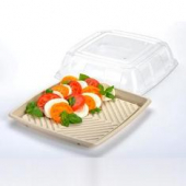 Sabert - Platter, 14&quot; Square Molded Fiber Pulp