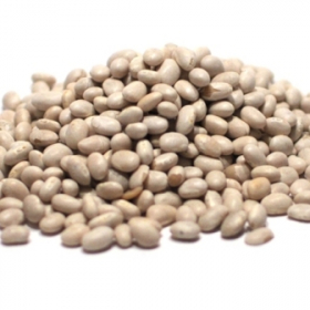 Small White Beans, 10 Lb