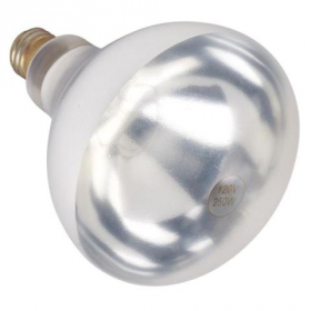 Winco - Electric Heat Lamp Replacement Bulb, 250 Watt Clear