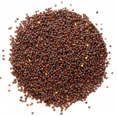Mustard Seed, Whole Brown