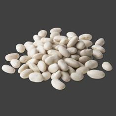 Great Northern/Large White Beans