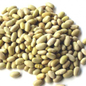 Mayocoba Beans, 25 Lb