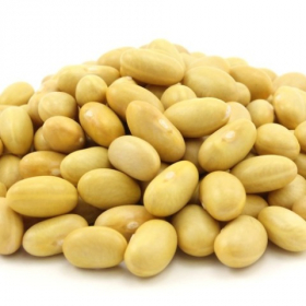 Mayocoba (Peruano) Beans