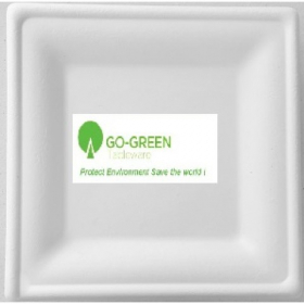 Go-Green Tableware - Biodegradable (Bagasse) Plate, 10&quot; Square