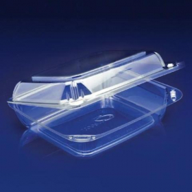 Container, 8x2 ClearBoost PET Hinged Container