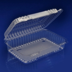 Container, 9&quot; Oblong Clear Plastic Hinged Container, 9x7x2