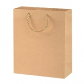 Paper Bag with Handle, Plain Kraft, 8x5x10