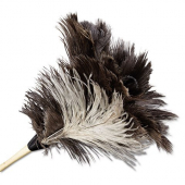 Boardwalk - Feather Duster, Ostrich Feather with 7&quot; Handle