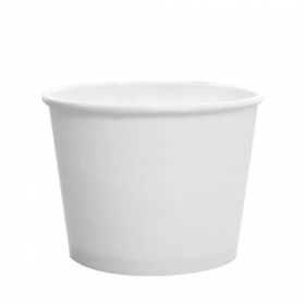 Hot/Cold Paper Food Container, 12 oz White